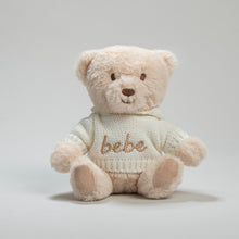 Load image into Gallery viewer, Teddy Bear with Hooded Sweater