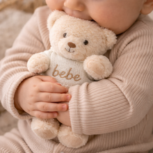Load image into Gallery viewer, Teddy Bear with Hooded Sweater