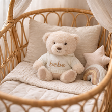 Load image into Gallery viewer, Teddy Bear with Hooded Sweater